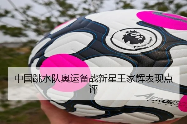 中国跳水队奥运备战新星王家辉表现点评